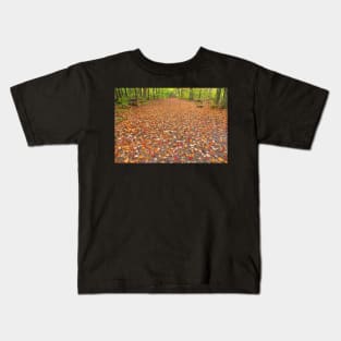 Ricketts Glen Autumn Trail Kids T-Shirt